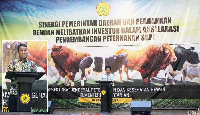 Korporasi Peternakan, Kementan Inisiasi Sinergi Pemda, Investor dan Perbankan